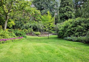 Optimiser l'expérience du jardin à Bernin