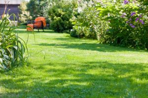 travaux jardin et paysage Bernin